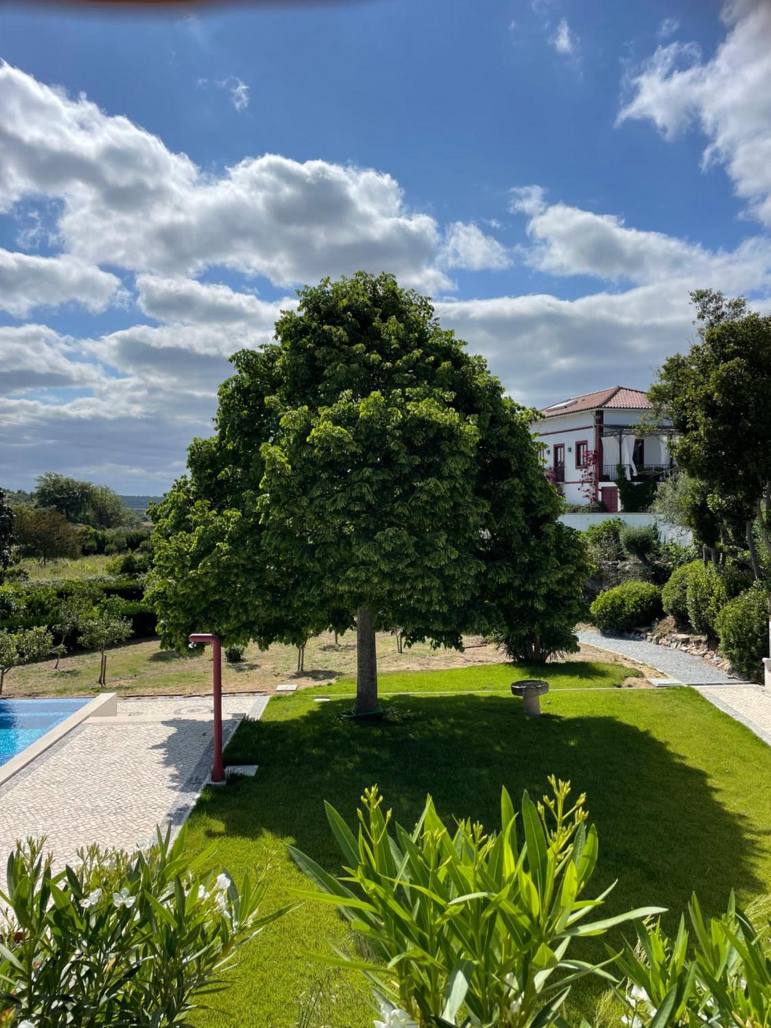 Quinta Da Asneira Apartment Montemor-o-Novo Ngoại thất bức ảnh